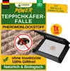Teppichkäfer Falle mit Pheromonlockstoff, 1x Falle, Produktbild-Vorschau 1