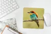 MuchoWow® Mauspad Mousepad Vogel - Bienenfresser - Tiere Produktbild-Vorschau 5
