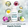 Lymph System (120 gélules) Complément alimentaire, Voir les images du produit 6