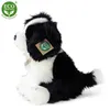 Peluche Border Collie 27 Cm Ecologico Anteprima dell’immagine prodotto 13