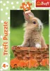 Trefl Puzzle Mini 54T Liebe Tiere Produktbild-Vorschau 2
