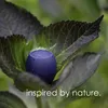 Boompods Zero Navy Blue Produktbild-Vorschau 5
