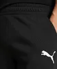 Puma pantaloncini da uomo con tasche, taglia:L, colore:Nero Anteprima dell’immagine prodotto 5