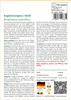 SAFLAX - Engelstrompete / Weiß - 10 Samen - Mit keimfreiem Produktbild-Vorschau 3