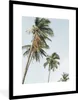 MuchoWow® Gerahmtes Poster Palmen - Sommer - Tropisch 60x80 Produktbild-Vorschau 1