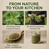 Oregano 10kg Getrocknet Blätter Natur Vegan Pizza Pasta Produktbild-Vorschau 6