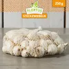 Artikelbild 4 von 'Wintersteckzwiebel Snowball' aus der Kategorie Wintersteckzwiebeln Produktbild-Vorschau