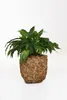 VIVANNO Pot de fleurs jacinthe d'eau WILD cube, naturel Voir les images du produit 3