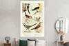 MuchoWow® Poster Vogel - Vintage - Zeichnung 120x180 cm - Produktbild-Vorschau 4