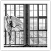 Poster - Poster ohne Rahmen - Frau Engel Ansicht - 60x60 cm Produktbild-Vorschau 1