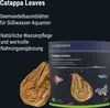 Dennerle Catappa Leaves - Seemandelbaumblätter, natüliche Produktbild-Vorschau 3