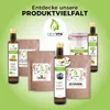 GreatVita Schwarzkümmelöl, 2x500ml Glas Produktbild-Vorschau 8