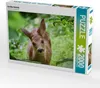 CALVENDO Puzzle Sanftes Rehkitz 2000 Teile Puzzle quer | Produktbild-Vorschau 2