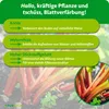 Purgrün -Rhabarber-Dünger 1 kg, Produktbild-Vorschau 3