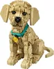 LEGO® Icons 11384 Golden Retriever Welpe Produktbild-Vorschau 5
