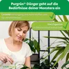 Purgrün Monstera Dünger | Flüssigdünger für Blattwachstum | Produktbild-Vorschau 6