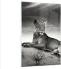 Bilder auf glas - Einteilig - Tierwelt weiblich katze Tier Produktbild-Vorschau 1