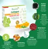 Biostile Collagen Powder Blend with Hyaluronic Acid - 30 Podgląd zdjęcia produktu 4