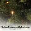 Triumph Tree Arbre de Noël artificiel Bristlecone Fir - Voir les images du produit 9