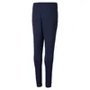 Puma Hosen Teamrise Poly Training Pants JR, 65739106, Produktbild-Vorschau 2
