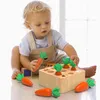 Montessori-Holz-Sortierspiel für Babys von 1 bis 4 Jahren – Produktbild-Vorschau 5
