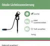 Paulmann Plug & Shine Basisset Spotleuchte Produktbild-Vorschau 5