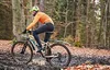 SKS Hinterrad-Steckblech X-Blade II, 26-27.5" Produktbild-Vorschau 22