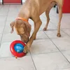 Gioco per cani KONG Gyro L Anteprima dell’immagine prodotto 2