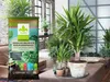 Blumenerde ohne Torf - 10L - Hochwertig - Nährstoffreich Produktbild-Vorschau 4