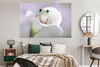 MuchoWow® Poster Lilie - Frosch - Blume 180x120 cm - Produktbild-Vorschau 4
