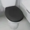 A close-up view of a toilet with a black toilet seat. Náhľad obrázku produktu