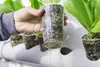 A hand holding a plant in a clear plastic cup with roots visible, placed in a hydroponic system. Voir les images du produit