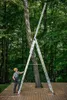 A person is using a ladder next to a tree in a forest setting. Anteprima dell’immagine prodotto