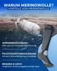 A sheep in a natural landscape with a pair of socks in the foreground. Produktbild-Vorschau
