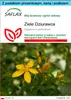 SAFLAX - Zestaw prezentowy - Ziele Dziurawca - 300 Nasiona Podgląd zdjęcia produktu 1