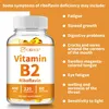 Vitamina B2 Riboflavina 400mg (120 capsule) integratore Anteprima dell’immagine prodotto 4