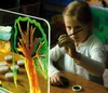 EDUPLAY 110-298 Osvětlený stojan, přírodní Náhled obrázku produktu 5