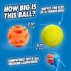 Palla Chuckit! Palla Breathe Right Fetch Palla di recupero Anteprima dell’immagine prodotto 15