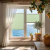 Plissee Klemmfix ohne Bohren 60x100cm Grün Sichtschutz Produktbild-Vorschau 9
