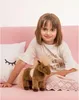 Shetlandpony 25 cm Anteprima dell’immagine prodotto 2