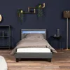 HOME DELUXE - LED Bett Astro - Dunkelgrau, 90 x 200 cm - Produktbild-Vorschau 2