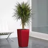LECHUZA-Pot de fleurs CUBICO Premium 30 Scarlet Rouge Voir les images du produit 24