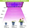 Diagram showing light intensity at different distances from a grow light, with examples of plants in different growth stages. Produktbild-Vorschau