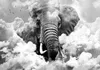 Selbstklebende Folie Fototapete - Elephant in the Clouds Produktbild-Vorschau 5