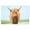 MuchoWow® Schreibtischunterlage Schottischer Highlander - Produktbild-Vorschau 1