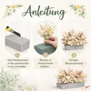 Trocken Steckschaum Rund 22x7cm für Trockenblumen & Produktbild-Vorschau 6