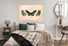 MuchoWow® Poster Schmetterling - Tier - Insekt 120x80 cm - Produktbild-Vorschau 4