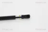 Gasfeder Koffer-/Laderaum Hub 195 mm 550 N TRISCAN für u.a. Produktbild-Vorschau 5