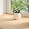 vidaXL Appuis de fenêtre 2 pcs. Non traité 160x30x2 cm Voir les images du produit 2