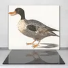 Coloray Kochplattenabdeckung Herdabdeckplatte 60x52 cm Produktbild-Vorschau 2